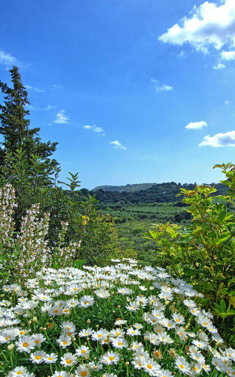 Villa Vicilla: Extérieur