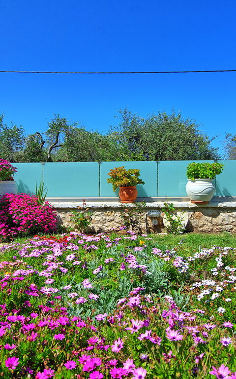 Villa Elaia: Extérieur, Jardin