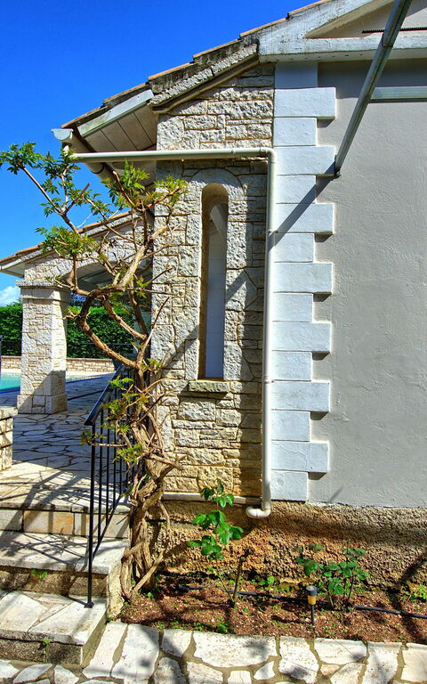 Villa Dimitris: Extérieur, Jardin