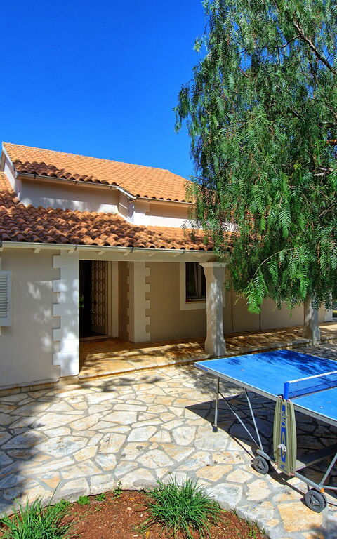 Villa Dimitris: Extérieurs, Jardin