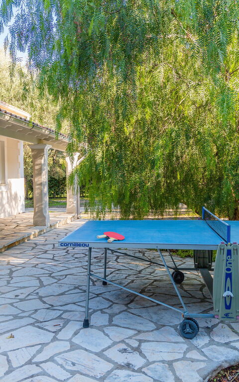 Villa Dimitris: Jardin