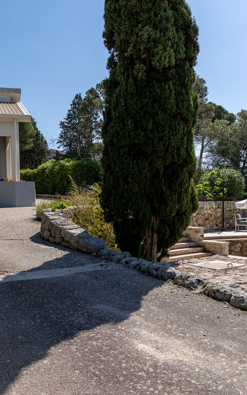 Nerodavola: Entrée principale, Vues
