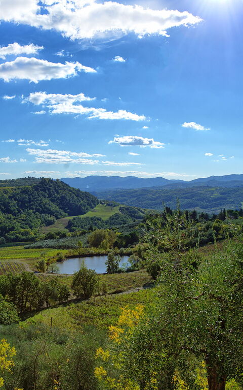 San Guido: Extérieur, Vues