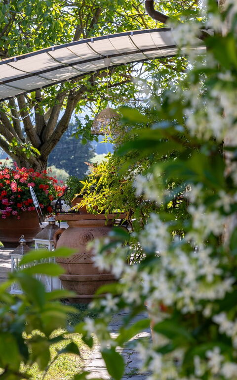 San Guido: Extérieur, Jardin