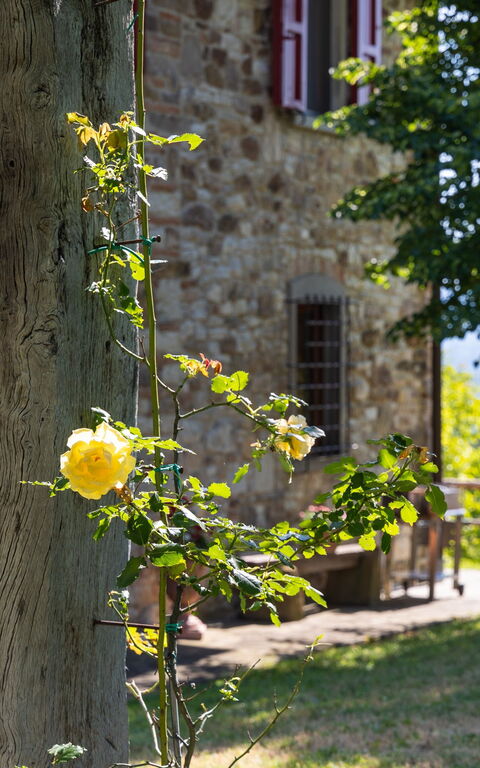 San Guido: Extérieur, Extérieurs, Jardin