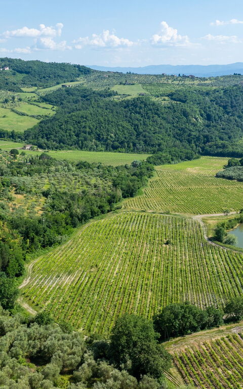 San Guido: Extérieur, Vues