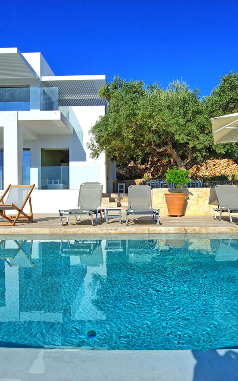 Villa Bluewhite: bassin, Été, Extérieur, Jardin