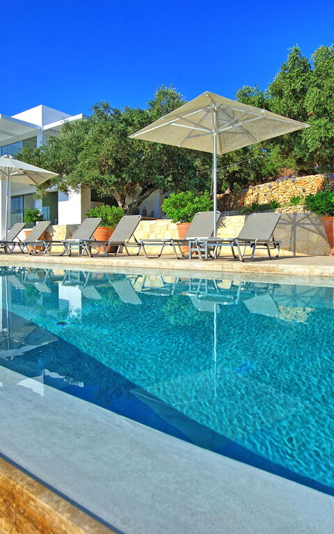 Villa Bluewhite: bassin, Été, Extérieur, Jardin