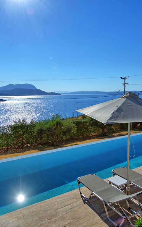 Villa Bluewhite: bassin, Été, Extérieur, Jardin, Vues