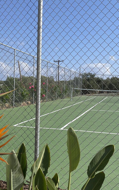 Villa Bluewhite: Activités