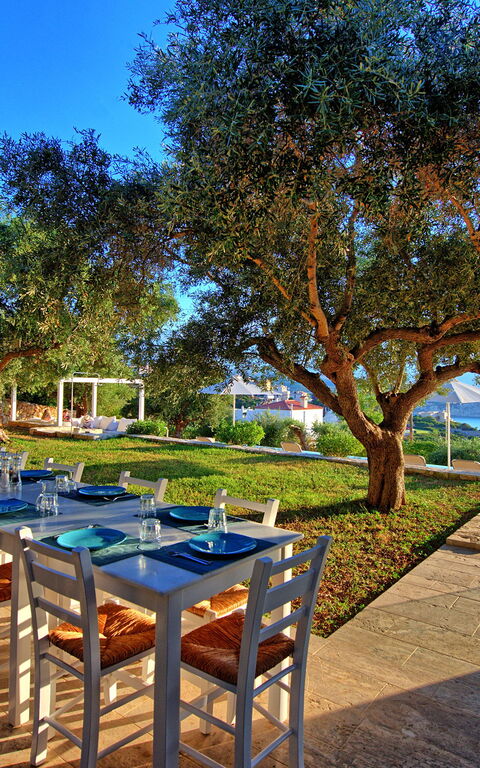 Villa Bluewhite: bassin, Été, Extérieur, Jardin, Vues