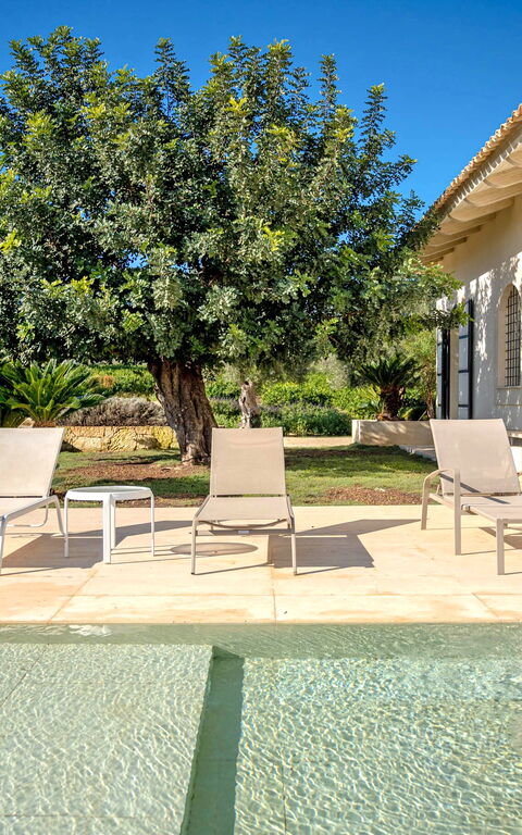 Tenuta Olearum: bassin