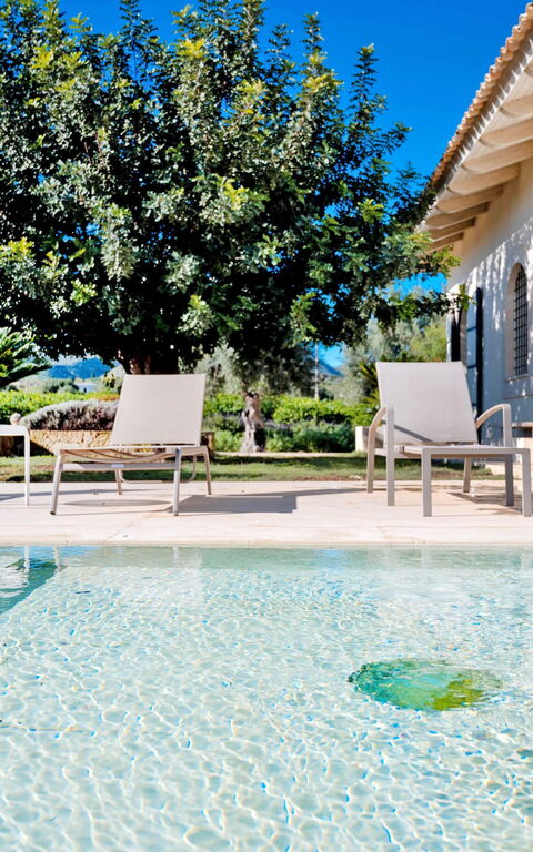 Tenuta Olearum: bassin