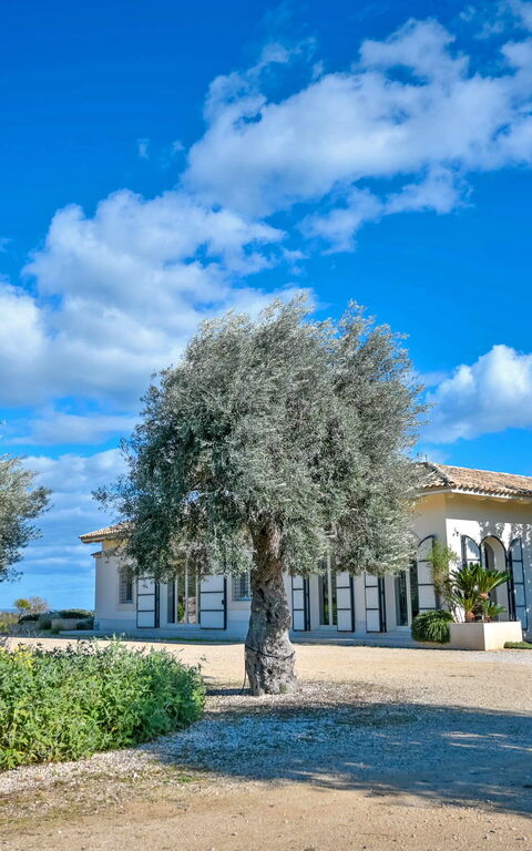 Tenuta Olearum: Été, Jardin