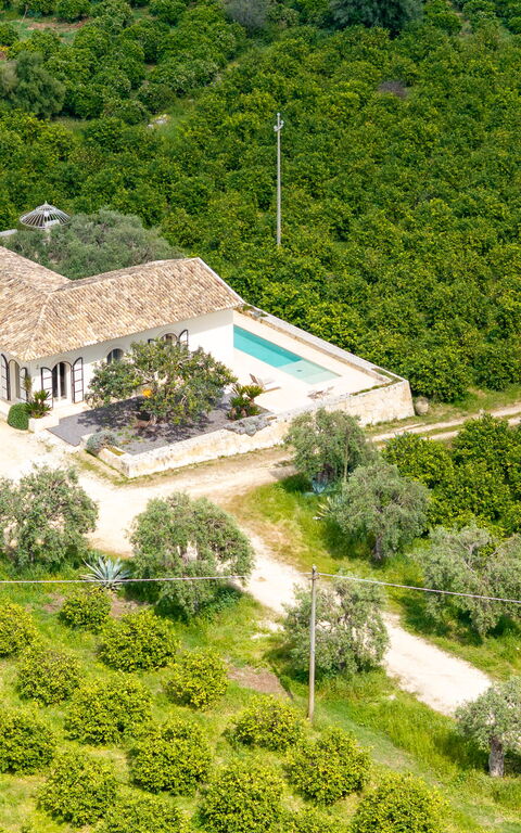 Tenuta Olearum: Vues