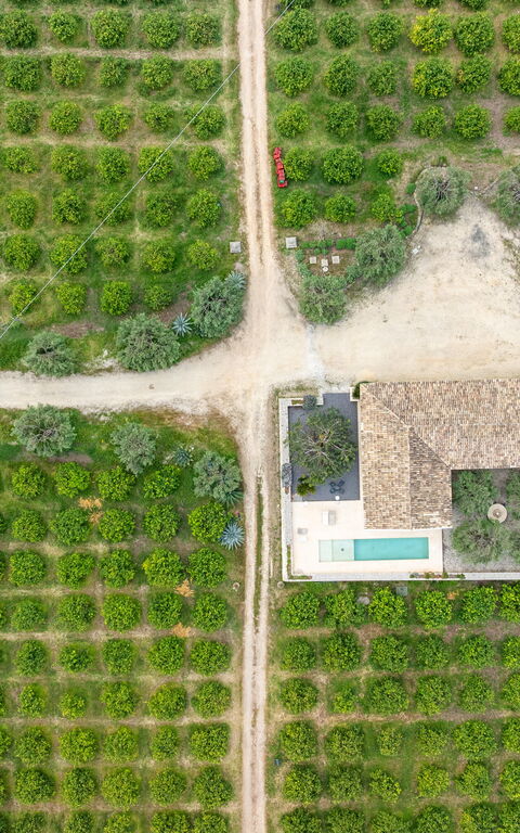 Tenuta Olearum: Vues