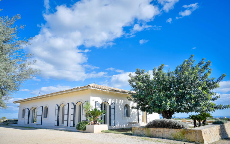 Tenuta Olearum: Jardin