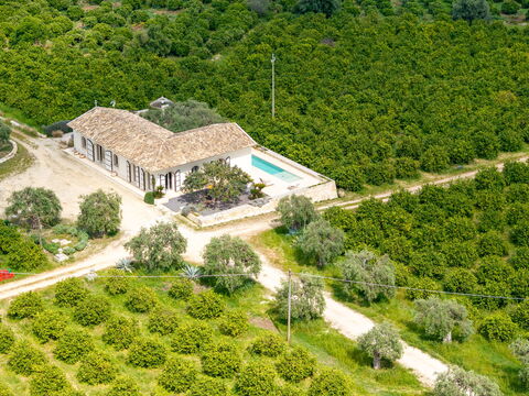 Tenuta Olearum