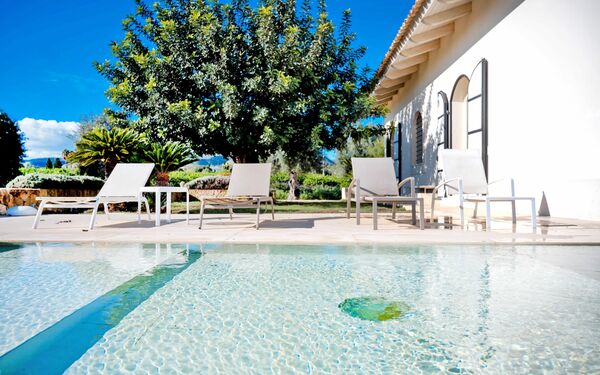 Tenuta Olearum: bassin