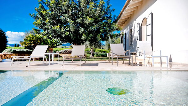 Tenuta Olearum: bassin