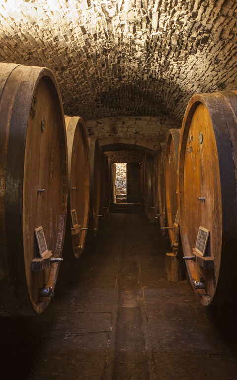 Villa Paneretta: Activités, Agréments