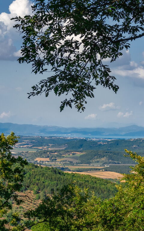 Villa Lucarella: Extérieur