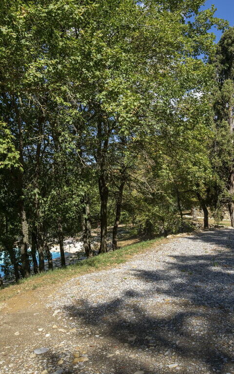 Villa Lucarella: bassin, Extérieur, Extérieurs, Jardin