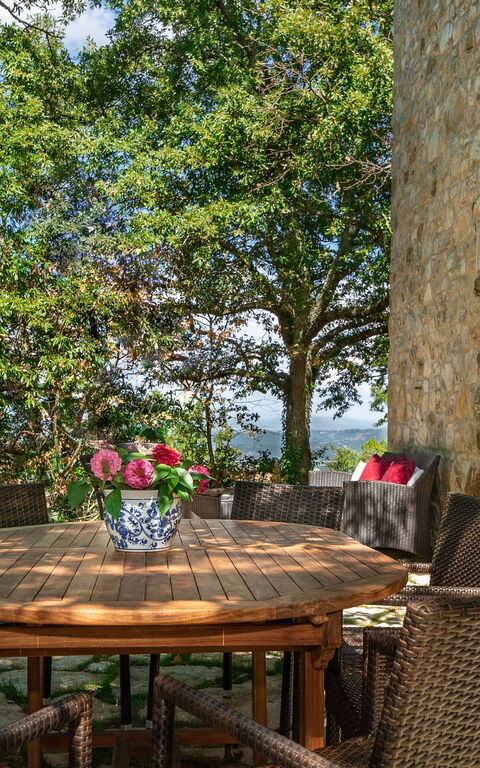 Villa Lucarella: Extérieur, Extérieurs, Jardin