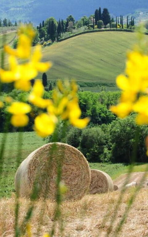 Palazzo Bello: Extérieur