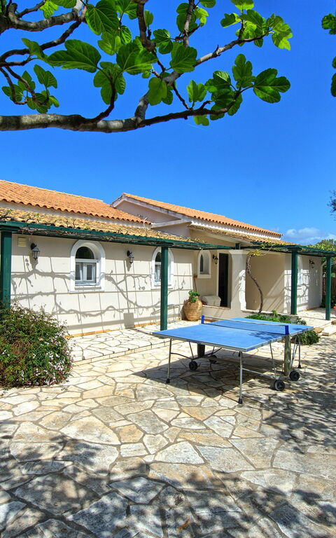 Votana House: Extérieurs, Jardin