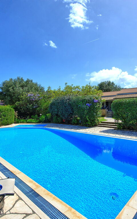 Votana House: bassin