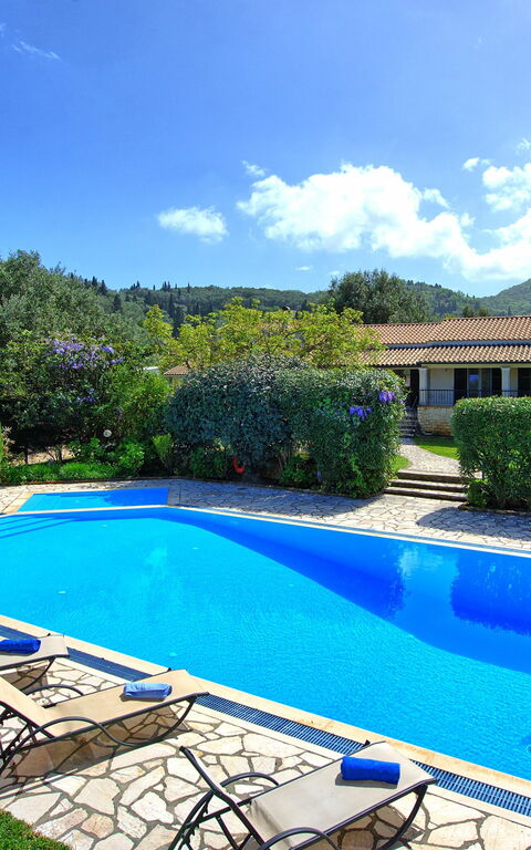 Votana House: bassin, Jardin