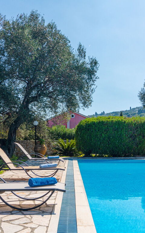 Votana House: bassin, Été, Extérieur, Jardin