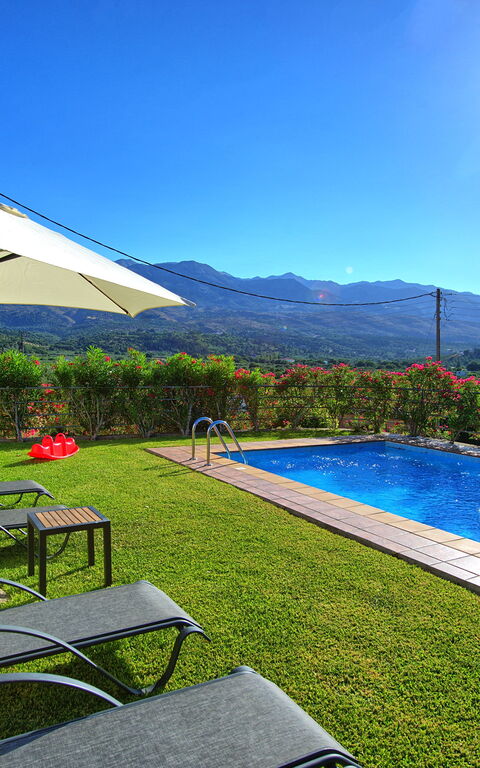 Villa Politini: bassin