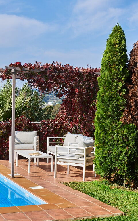 Villa Politini: bassin, Jardin