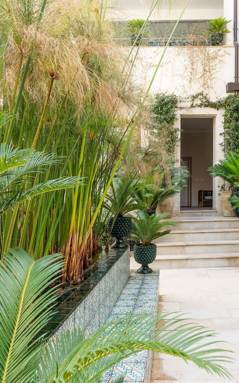 Aurispa: Balcon / Terrasse / Patio, Extérieur