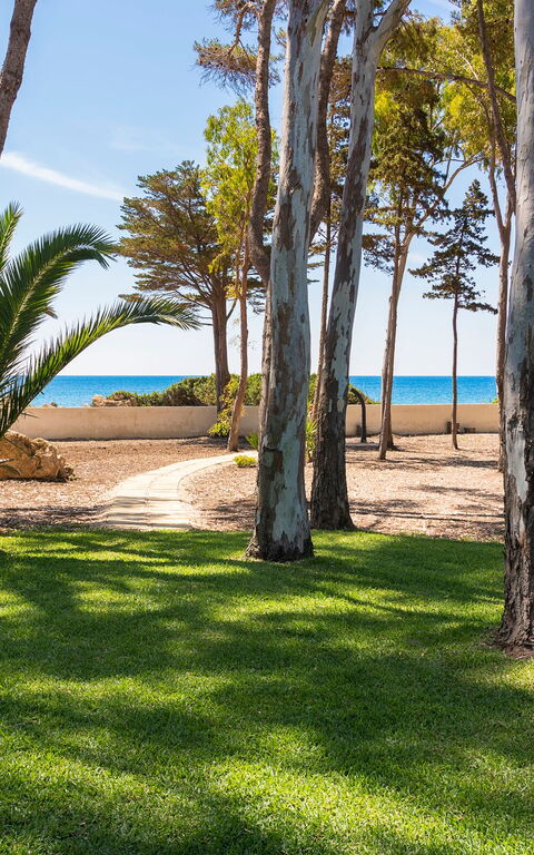 Marinella Punta Milocca: Extérieur, Jardin