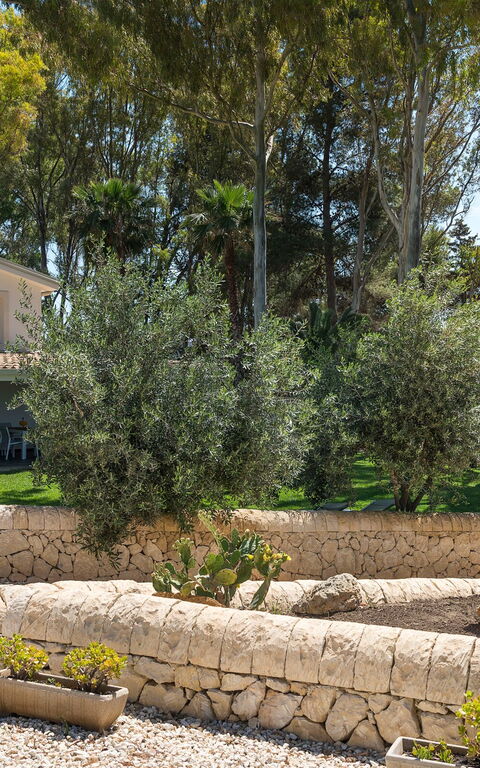 Marinella Punta Milocca: Extérieur, Jardin