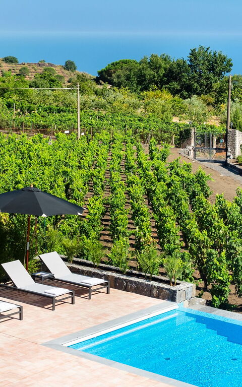 Villa Palmento Rosa: bassin