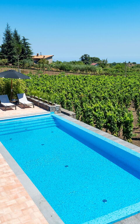 Villa Palmento Rosa: bassin