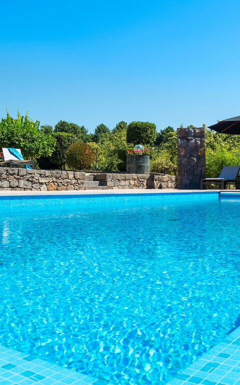 Villa Palmento Rosa: bassin