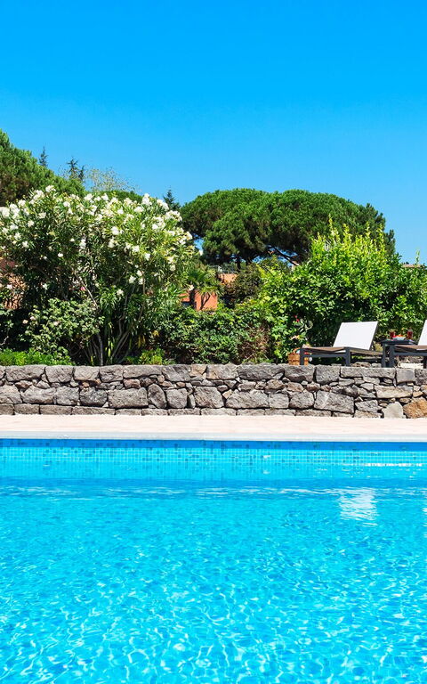 Villa Palmento Rosa: bassin