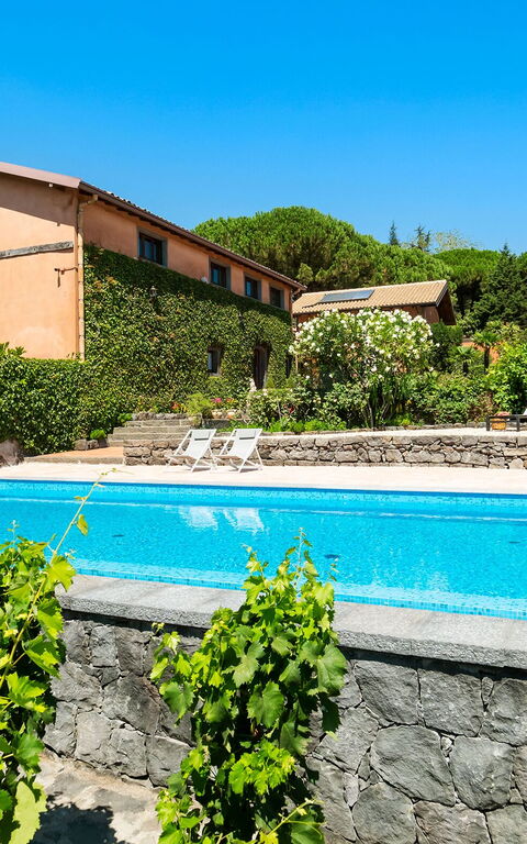 Villa Palmento Rosa: bassin