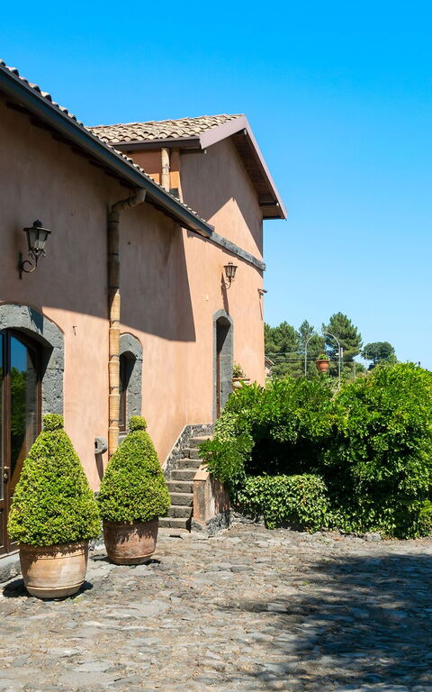 Villa Palmento Rosa: Extérieur, Extérieurs