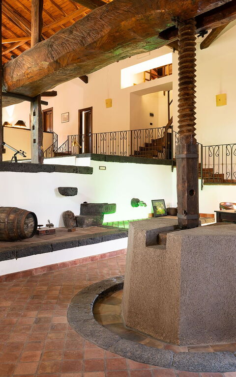 Villa Palmento Rosa: Salon