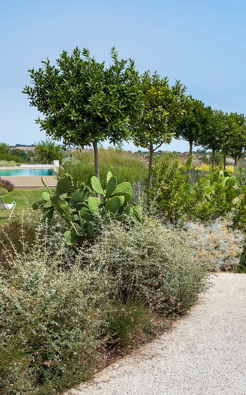 Villa Meravilla: Extérieur, Jardin