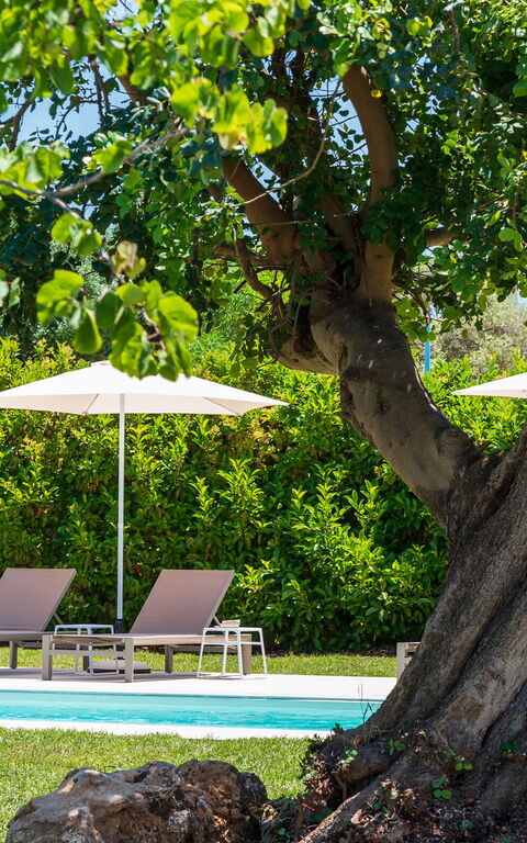 Villa Girasole: bassin, Jardin