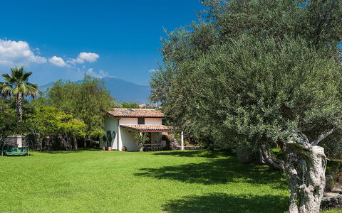 Logement Casetta: Jardin