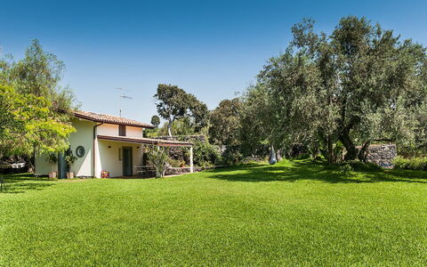 Logement Casetta: Jardin