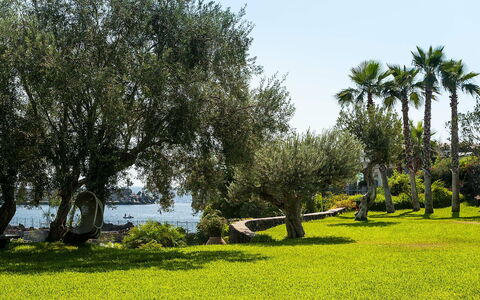 Logement Casetta: Jardin